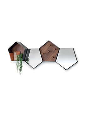  PACINI&CAPPELLINI Dix 5502